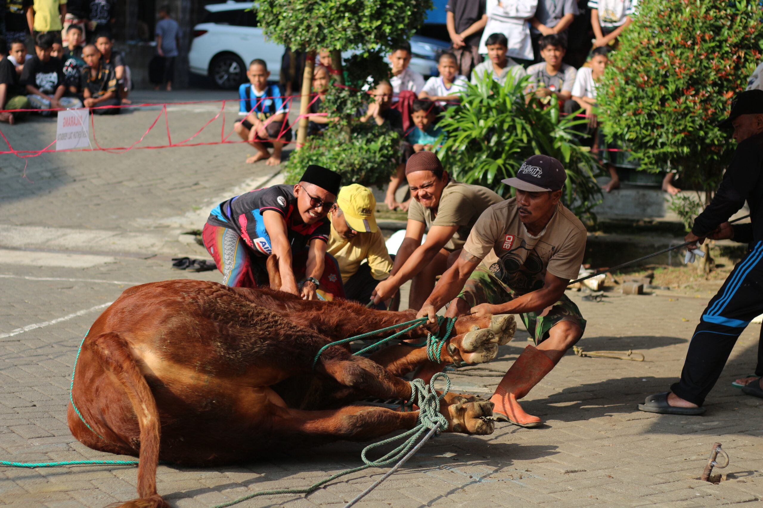 Penyembelihan Hewan Qurban di PPSQ Asy-Syadzili Berlangsung Khidmat dan Penuh Kebersamaan